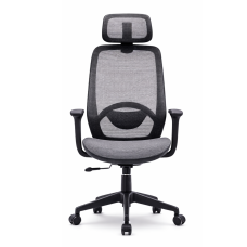 Della Ergonomic Mesh Office Chair
